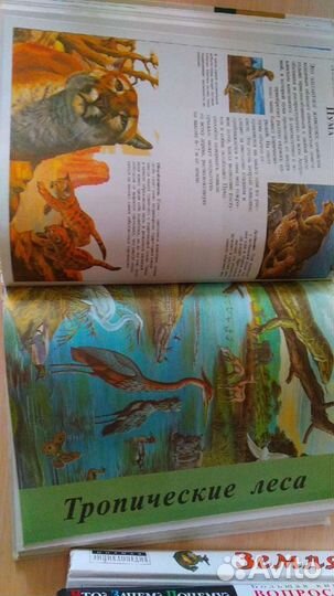 Детская энциклопедия