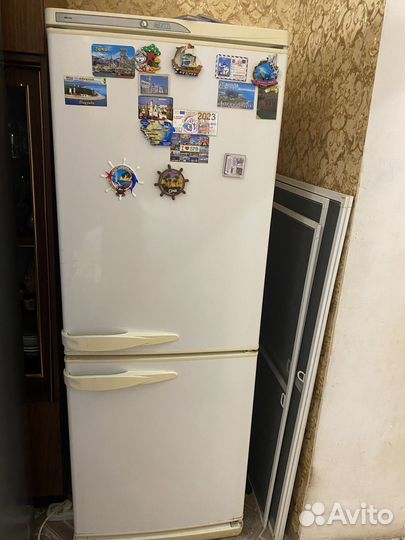 Холодильник stinol