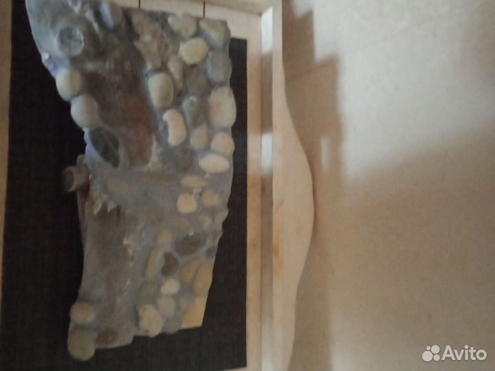 Домик для черепахи