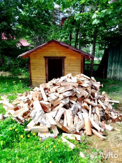 Дрова в укладку любого объема Березовые в Выборге