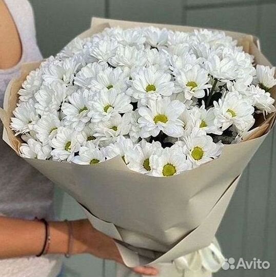 Хризантема Букеты с доставкой