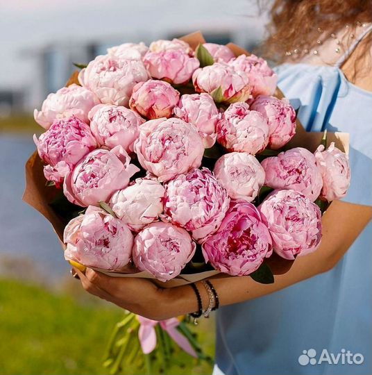 Пионы Цветы Доставка