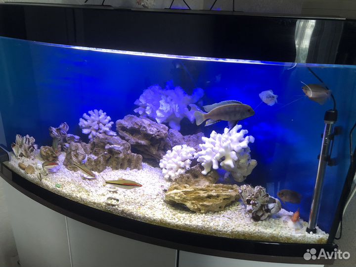 Аквариум угловой с тумбой 350 литров