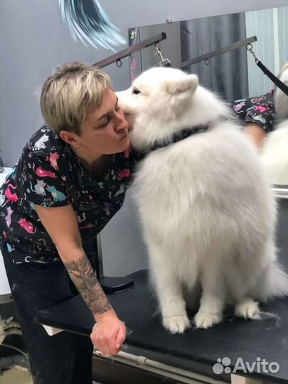 Гигиена,чистка зубов ультрозвуком без наркоза