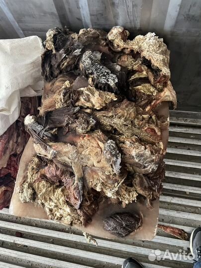 Книжка говядина для собак