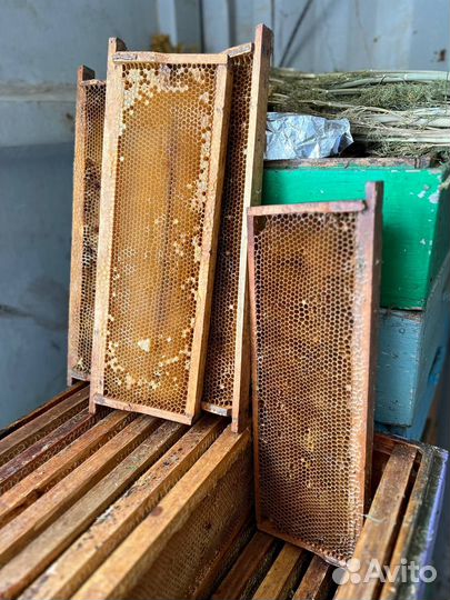 Корпусы + рамки с сушью