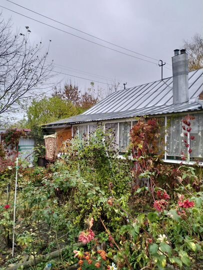 Дом 53 м² на участке 6,4 сот.