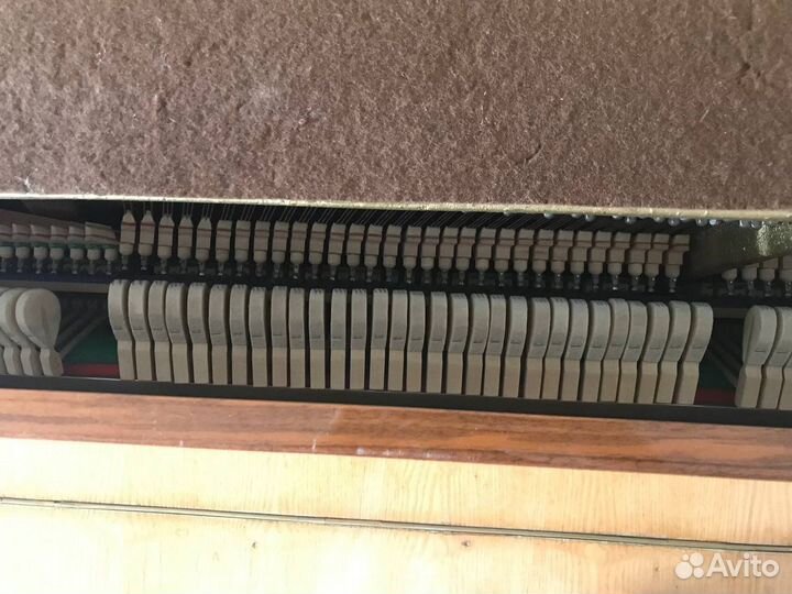 Фортепиано Scholze