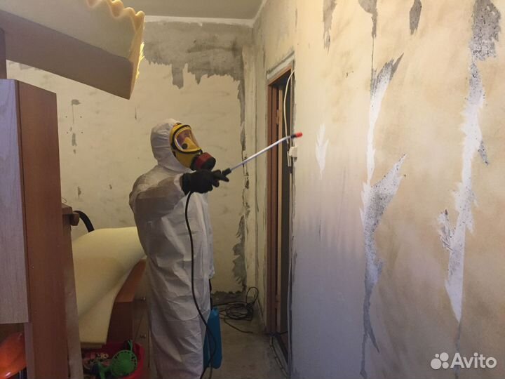 Дезинфекция, дезинсекция, дератизация