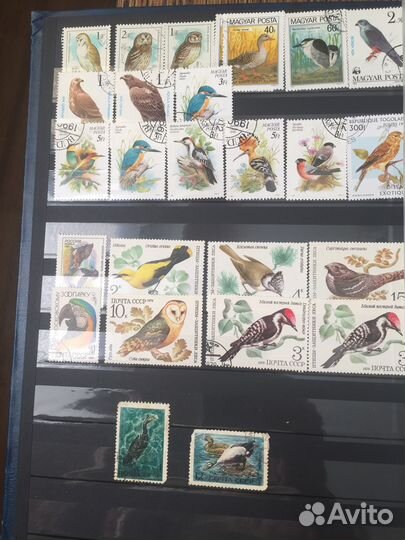 Альбом с марками