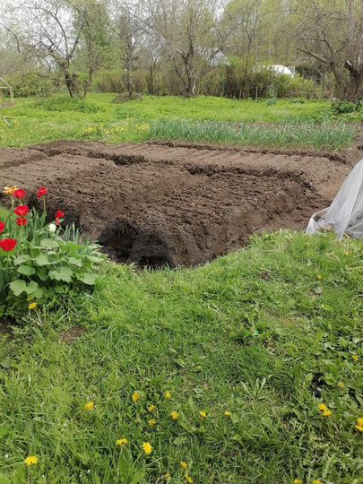 Дом 50 м² на участке 40 сот.