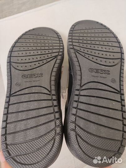 Кеды geox 36 размер