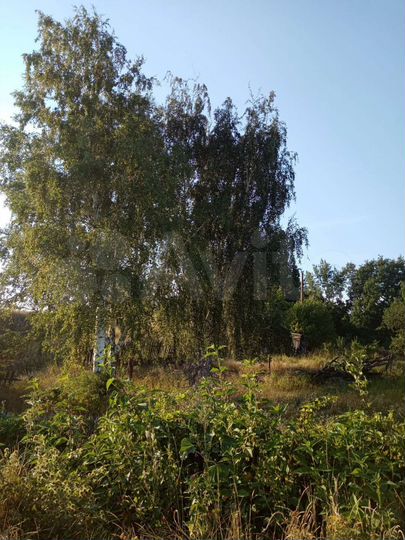 Участок 9,5 сот. (ИЖС)