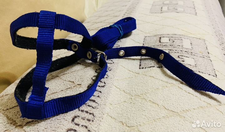 Поводок шлейка для кошек новый