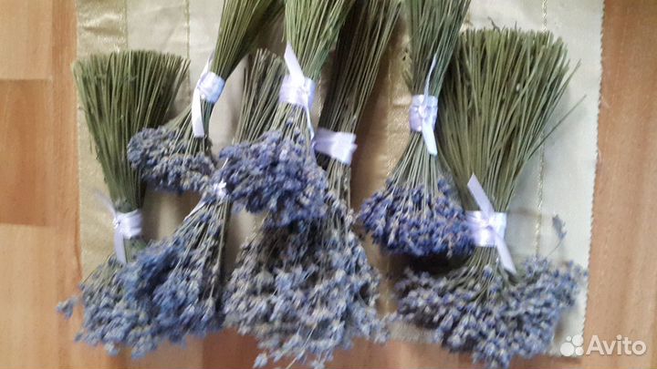 Букеты лаванды