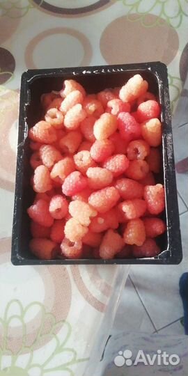 Малина жёлтая - гигант