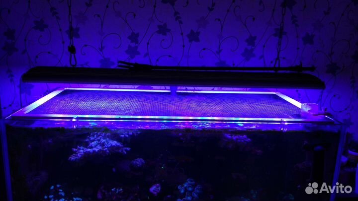 Морской аквариум