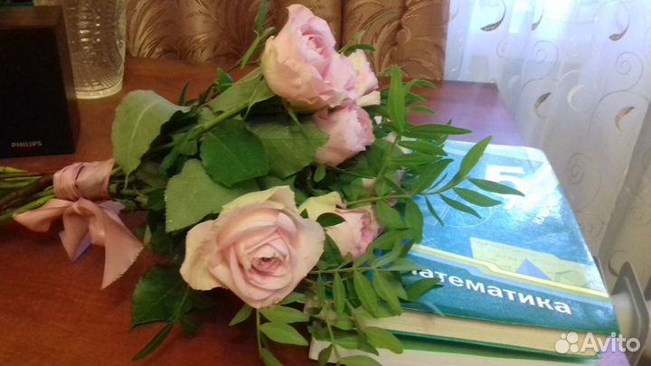 Репетитор по математике 5-11 кл