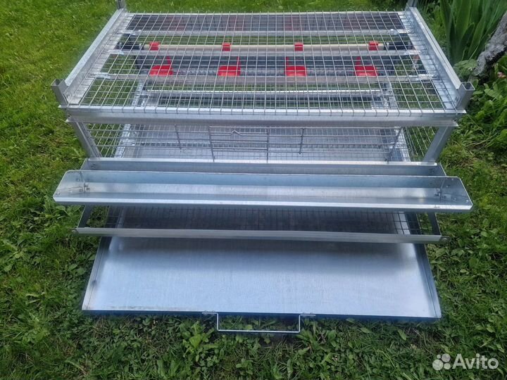 Клетка для перепелов Новая