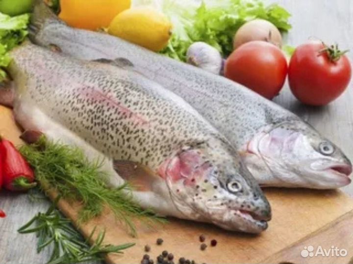 Форель морская непотрошенная