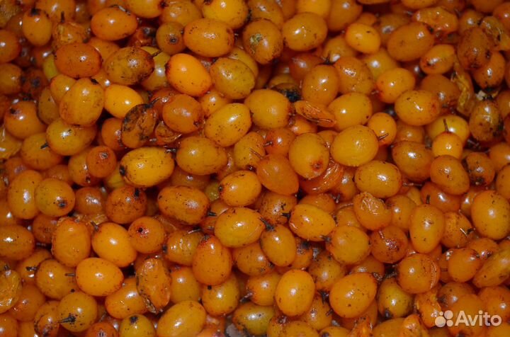 Облепиха Ягоды, Масло и Сок (Концентрированный)