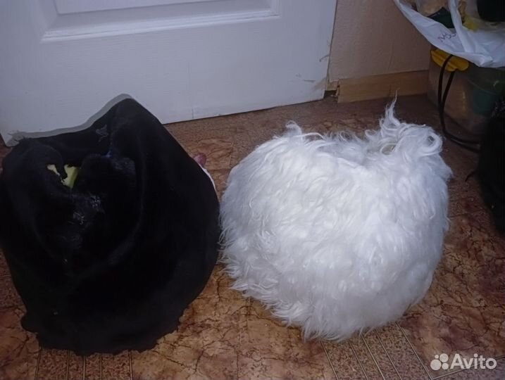 Фурртапки-Фурри фурсьют