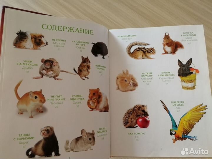 Неведомы зверюшки автор Волкова