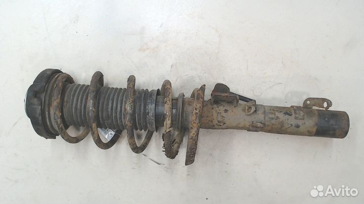 Амортизатор подвески Seat Ibiza 3, 2004