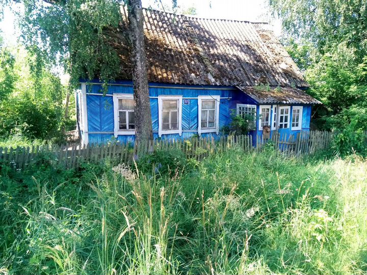 Дом 54 м² на участке 10 сот.