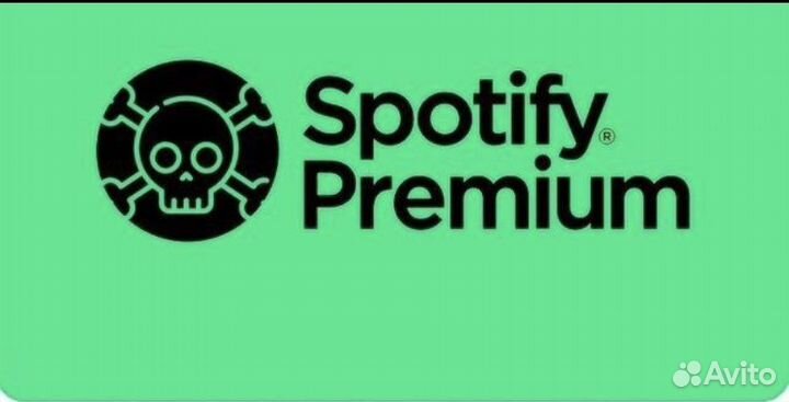 Spotify premium