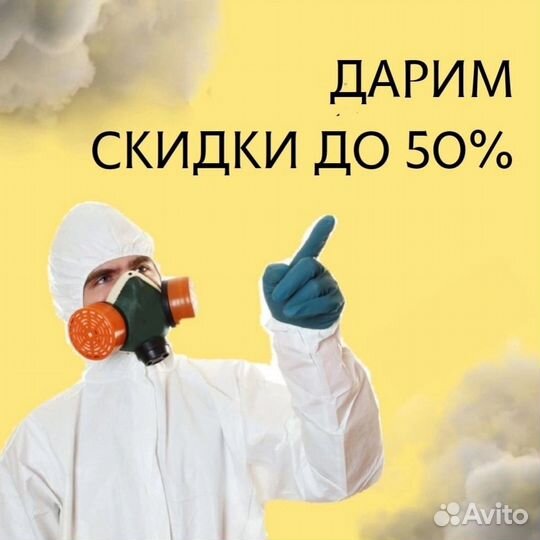 Профессиональное уничтожение все насекомых