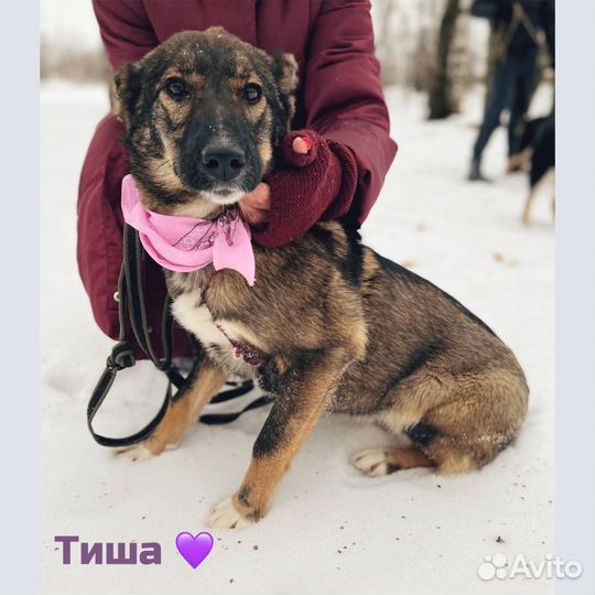 Хорошая девочка в добрые руки