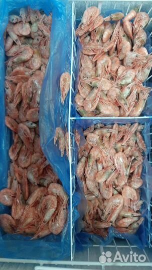 Креветки, раки, крабы