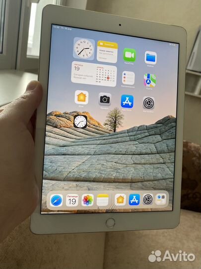 iPad air 2 + cellular