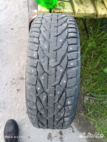 Tigar Ice 205/55 R16