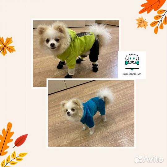 Одежда для собак от S до 7XL все сезоны