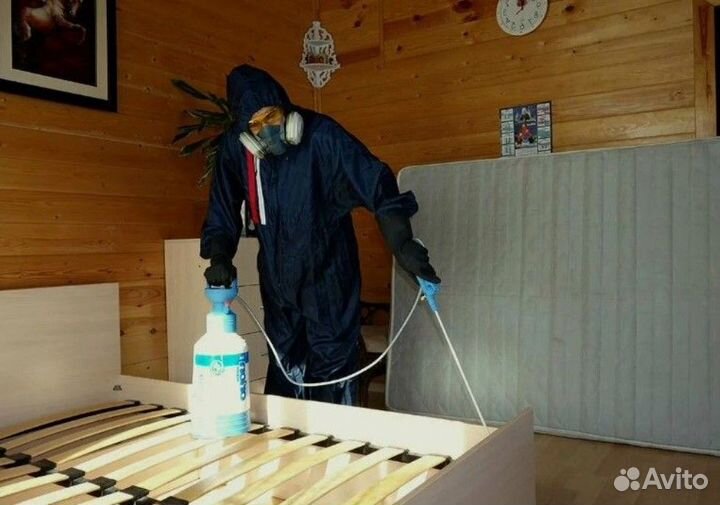 Дезинфекция Уничтожение клопов и тараканов