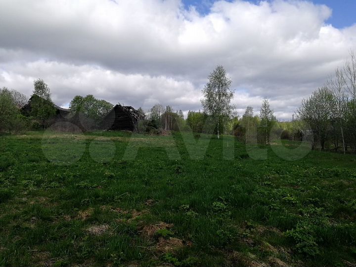 Участок 42 сот. (ИЖС)