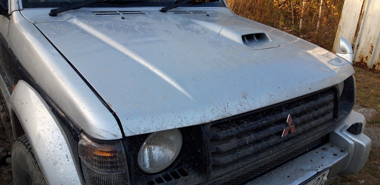 Mitsubishi Pajero: фото владельца