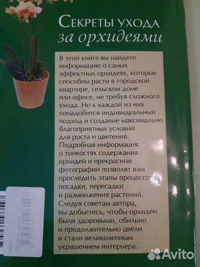 Секреты ухода за орхидеями