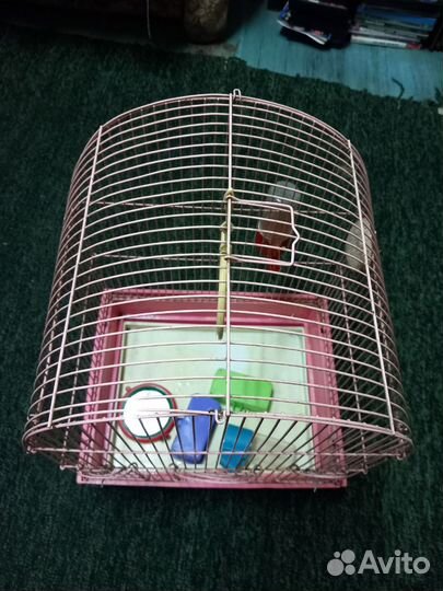 Клетка для попугая с аксессуарами