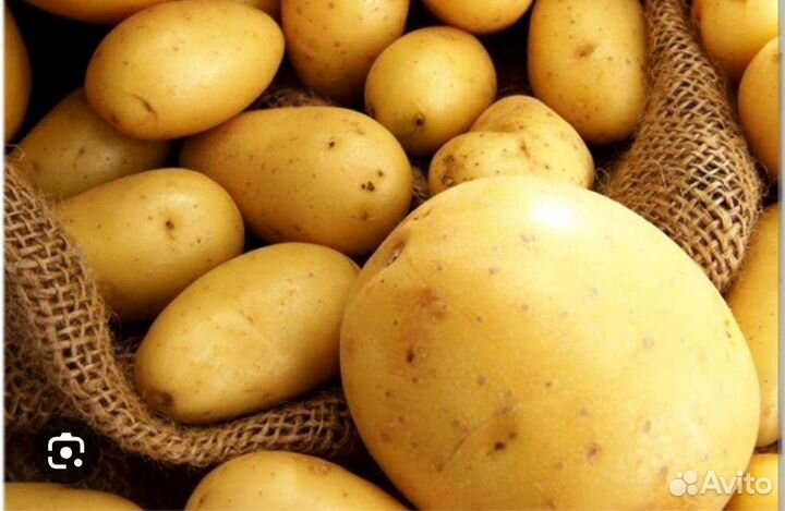 Продам картофель