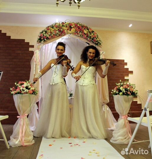 Музыканты, скрипка, скрипичный дуэт