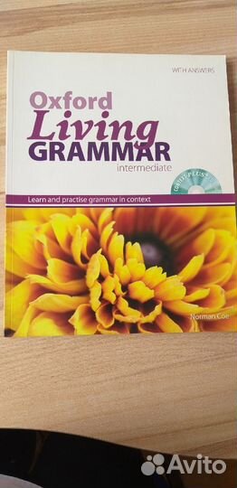 Oxford Living Grammar Intermediate