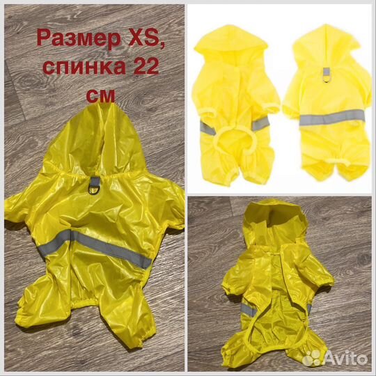 Одежда и обувь для маленьких и крупных собак