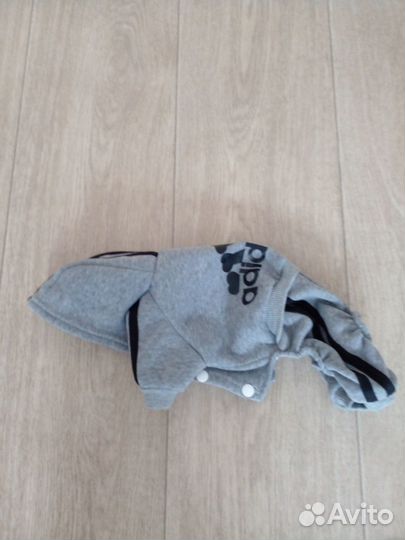 Одежда для маленьких собак