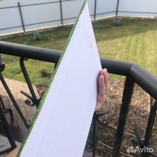 Картина масло грибы мухоморы натюрморт