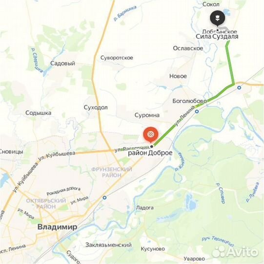 Семена фацелии / фацелия