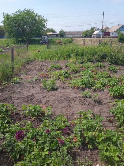 Участок 20 сот. (ИЖС)