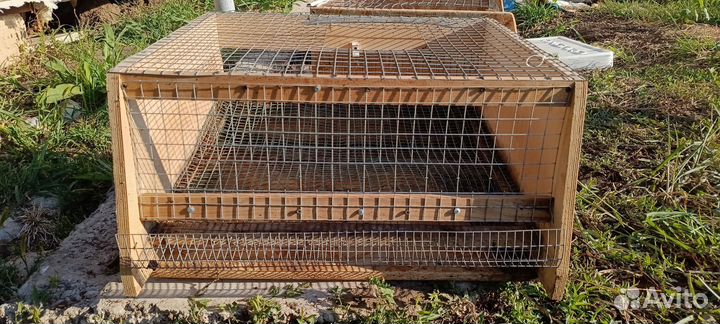 Клетки для перепелов бу